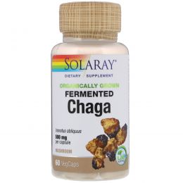 Solaray, Organically Grown Fermented Chaga, 60 Veggie Caps