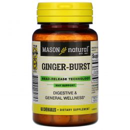 Mason Natural, Ginger-Burst, Bead- Release Technology, 60 Chewables