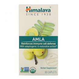 Himalaya Herbal Healthcare, Алма, Натуральльный Антитоксидант 60 капсул