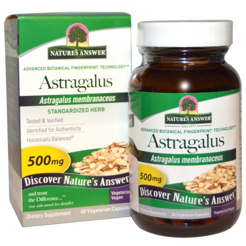 Nature's Answer, Астрагал, 500 мг, 60 растительных капсул