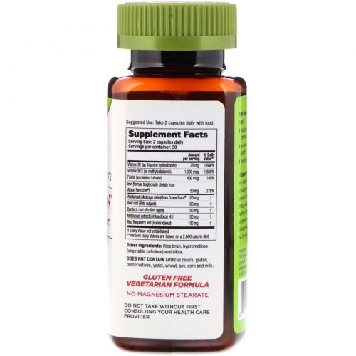 LifeSeasons, Blood Nourish-R, Blood Building Support, 60 Vegetarian Capsules