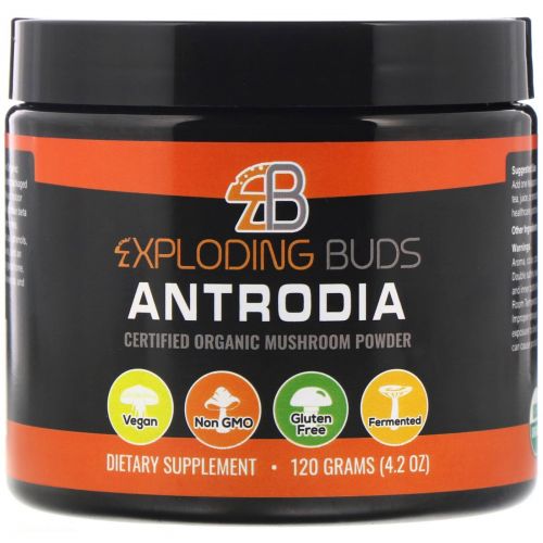 Exploding Buds, Антродия, сертифицированный органический грибной порошок, 120 г