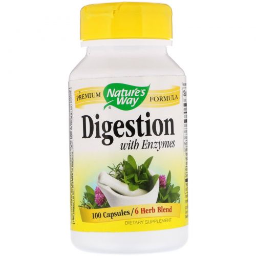 Nature's Way, Digestion with Enzymes, 450 mg, 100 Capsules