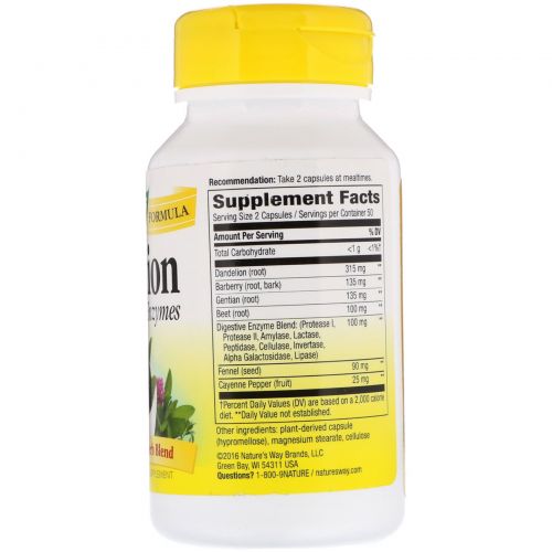 Nature's Way, Digestion with Enzymes, 450 mg, 100 Capsules