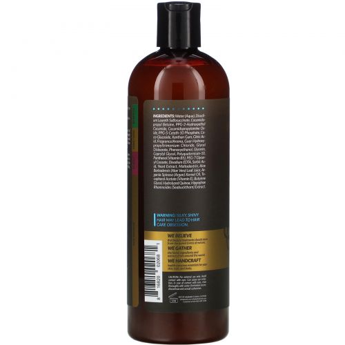 Art Naturals, Argan Oil Shampoo, Hair Growth Treatment, 16 fl oz (473 ml)