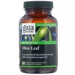 Gaia Herbs, Лист оливы, 120 жидких фито-капсул на растительной основе